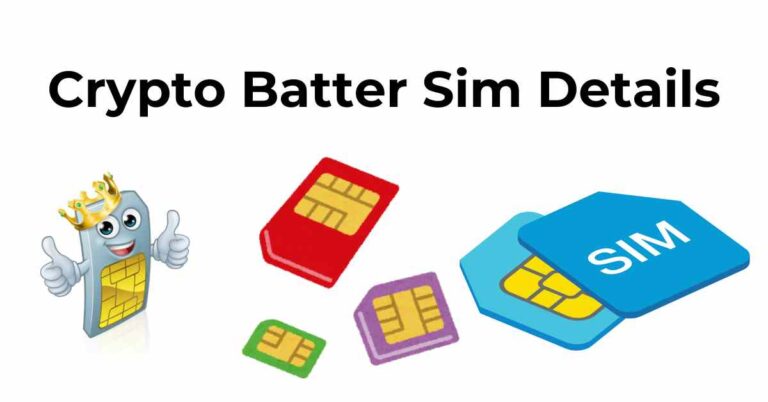 Crypto Batter Sim Details